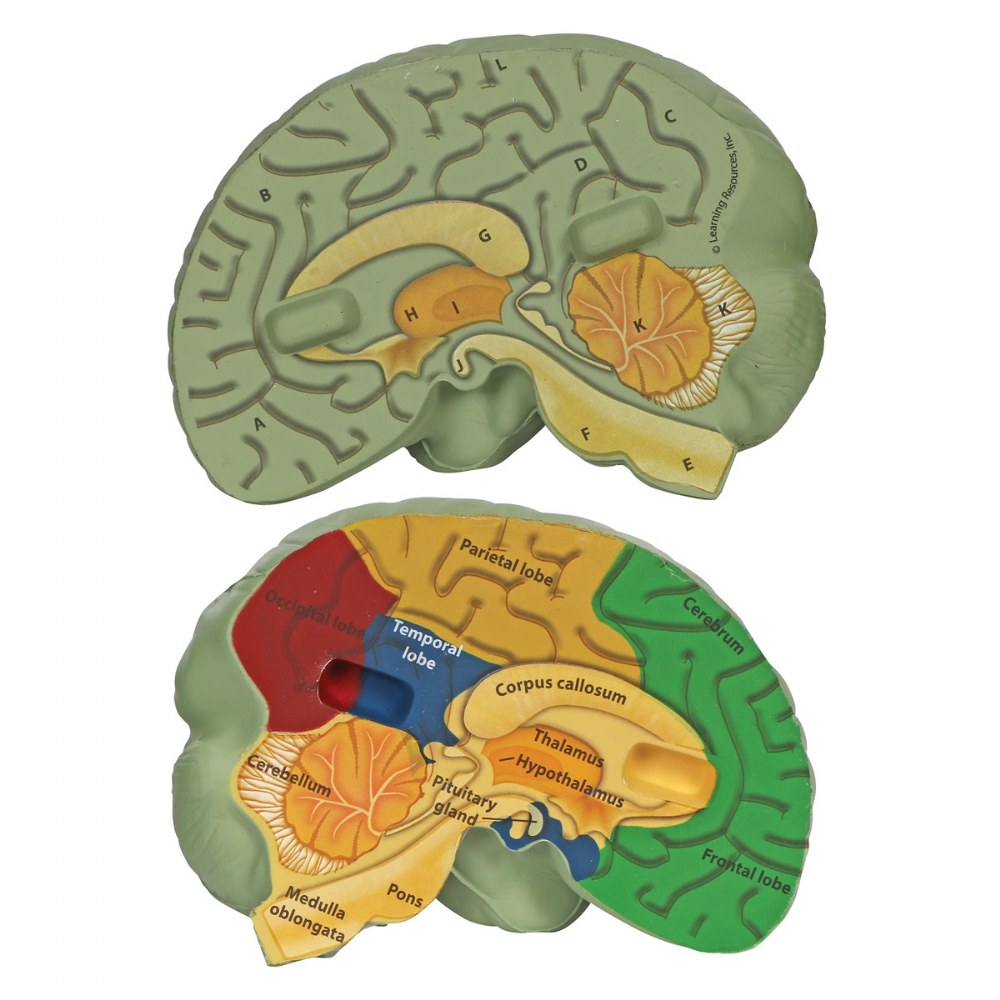 best food for brain fog