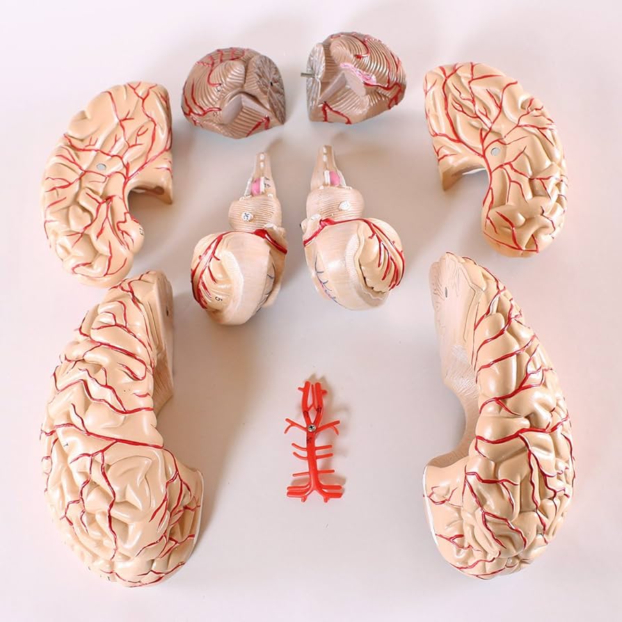 brain fog during period